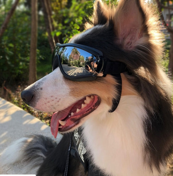 ae4364ab71793cc64928b5f4e8e170e