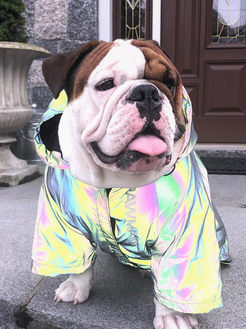 53653b6bc2b6c9a33ef4ed22ef52303c