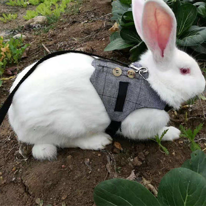 1ee855e95727f073b573e3d5fcf3c7b2