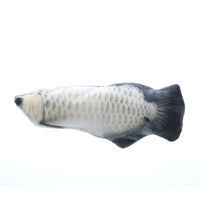 Silver arowana