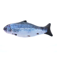 Salmon
