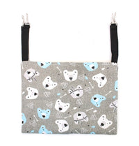 Gray bear