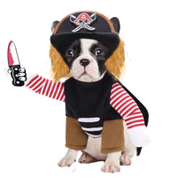 Pirate