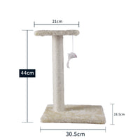 Apricot jumping section