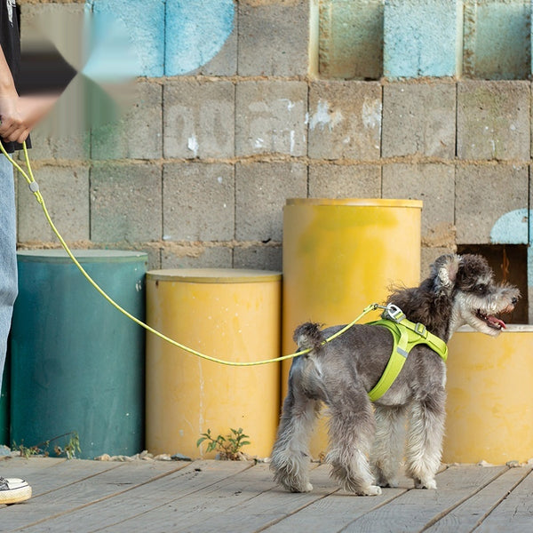 a81026ed7f73da619fe8778a12487be5
