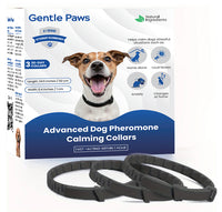 3Packs dog of black