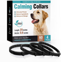 4pack of dog black