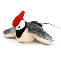 Woodpecker